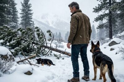 A Navi SEAL and Dog Found a Tiny Survivor Beneath a Fallen Pine