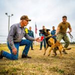 SEALs Couldn't Control the K9 — Until the Old Farmer Stepped Forward and Said "Ranger"