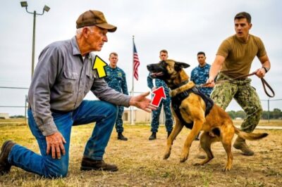 SEALs Couldn't Control the K9 — Until the Old Farmer Stepped Forward and Said "Ranger"