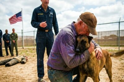 The SEAL team had tried everything. Commands, training, strength… nothing could calm the uncontrollable K9