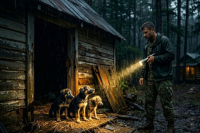 Three freezing puppies behind an old warehouse. One former Navy SEAL who swore he’d never love again. What happened next?