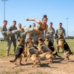 They Kicked Her Into A K9 Dog Kennel—And Then Realized Why She Was A Legendary Navy SEAL