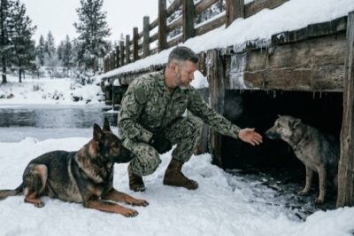 SHE’S MY DAMN PROPERTY!- ABUSER CONFRONTS NAVY SEAL OVER STOLEN DOG!