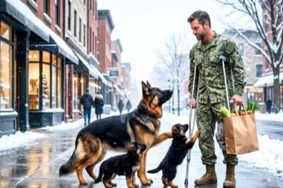 A Wounded Navy SEAL Met a Mother Dog and Two Puppies — None of Them Expected What Came Next