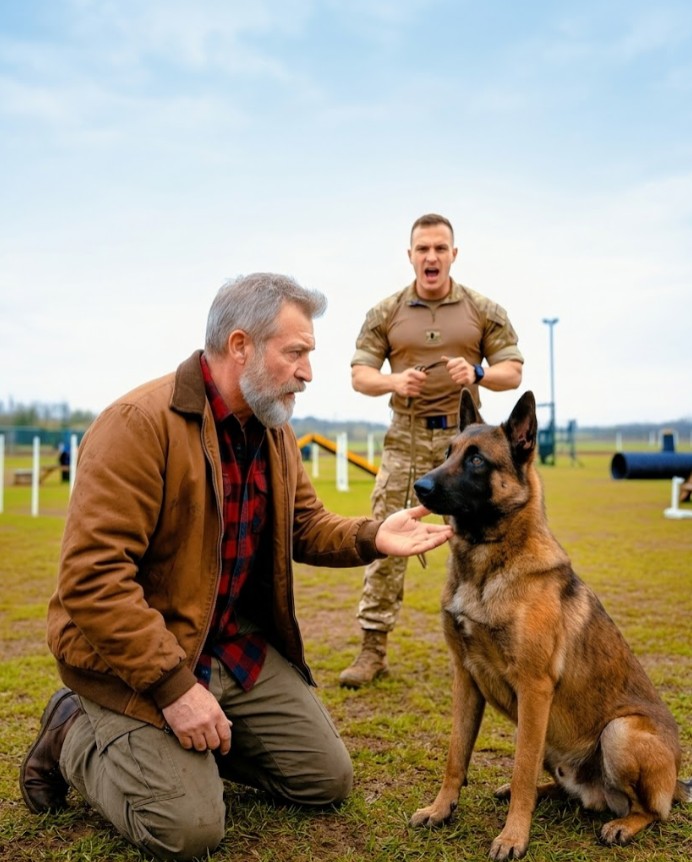 The Military K9 Obeyed No One — Until a Homeless Veteran Gave One Command
