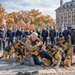 Nobody Knew the Old Farmer at the Memorial — Until 7 K9 Dogs Left Their Handlers and Ran Toward Him