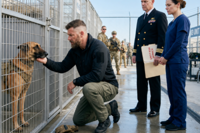 “Military Wrote Off This K9 — A Navy SEAL Refused to Give Up, and the Outcome Shocked Everyone”