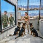 "They Locked Her In With The K9s – Then They Realized Why She’s A Navy SEAL Legend!"