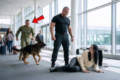 Disabled Woman Humiliated at the Airport Until a Navy SEAL and His Dog Leave Everyone Speechless