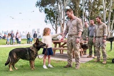 A Little Girl Whispered, ‘My Father Had That Tattoo’ — Her K9 Made 5 Navy SEALs Freeze