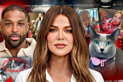 KHLOE KARDASHIAN IS UNRECOGNIZABLE: ILLEGALLY ABUSING CATS AND THE TRISTAN THOMPSON ULTIMATUM (SICK)