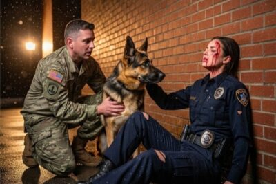 A navy seal & k9 found a female police officer beaten up on Christmas Eve — a miraculous ending.