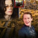 17 Years After His Death, Michael Jackson’s $35m Neverland Ranch Discovery Leaves Public Shocked