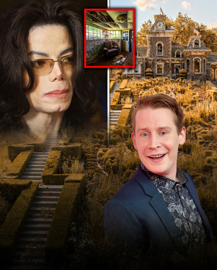 17 Years After His Death, Michael Jackson’s $35m Neverland Ranch Discovery Leaves Public Shocked