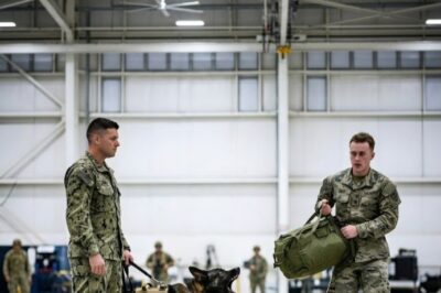 His Police Dog Wouldn’t Stop Barking at a Soldier’s Bag — What Happened Next Shocked Everyone!