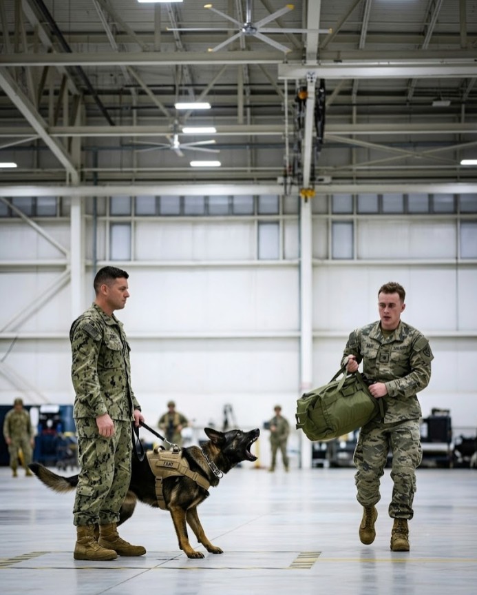 His Police Dog Wouldn't Stop Barking at a Soldier's Bag — What Happened Next Shocked Everyone!