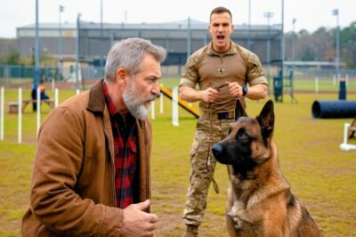 The Military K9 Obeyed No One — Until a Homeless Veteran Gave One Command