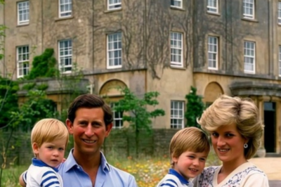 The British royal family doesn’t actually live in Buckingham Palace. Their real homes are hidden country estates where they farm, ride horses, and try to be normal. But here’s the twist: even these private retreats now open to the public—because maintaining a castle isn’t cheap.