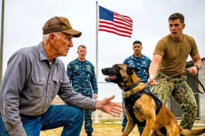 200 Navy SEALs couldn’t control the dog. Trainers gave up. Experts called him broken. Then a quiet old farmer watching from the fence line walked over slowly and whispered one word. The dog stopped instantly. Sat down.