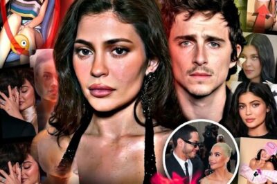 Kylie Jenner Is Unrecognizable: Begging Timothée Chalamet For Marriage