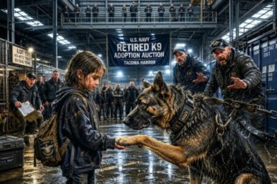 SEAL’s Orphan Daughter Entered Retired K9 Auction Alone—Dogs FROZE When She Sang His Unit's Cadence