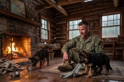 The Two Shelter Puppies Wouldn’t Leave the “Wrong” Navy SEAL… Until He Knew Why