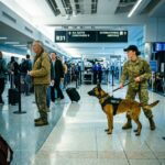 Everyone Pushed the Old Farmer at the Airport — Until the K9 Stopped and Refused to Move Past Him