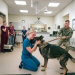 Everyone Backed Away From the Military K9 — The Exhausted Vet Tech Walked Straight Toward Him