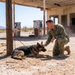 This Navy SEAL Found an Abandoned Dog at Gas Station... What He Discovered Next Changed His Life