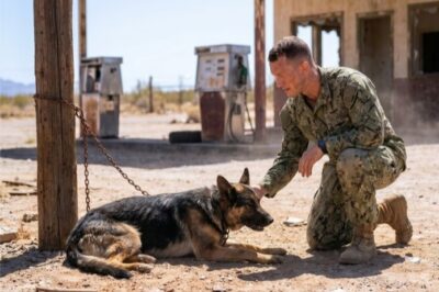 This Navy SEAL Found an Abandoned Dog at Gas Station… What He Discovered Next Changed His Life
