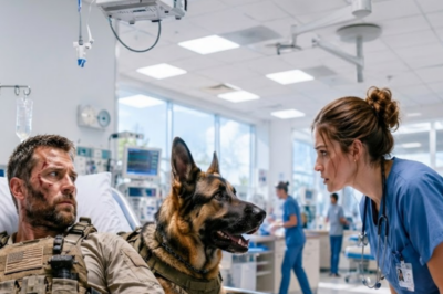 A retired Navy SEAL collapsed in the ER. His war dog held the entire staff hostage — no one could get within 10 feet. Then a nurse whispered one single word. The 85lb killing machine… just melted.