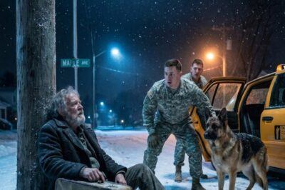 Ex-Marine Finally Came Back After 10 Years — And Found His Father Alone in the Cold