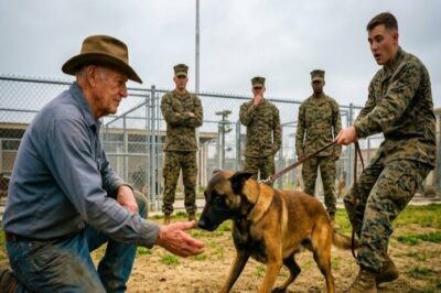 Marines Couldn't Control the Retired K9 — Until the Old Farmer Stepped Forward and Said "Ghost"
