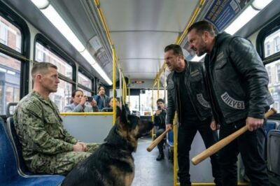 Gangsters Bullied a Quiet Man and His German Shepherd in a Bus — Unaware That He Was a Navy SEAL