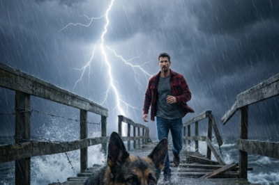 They said some storms don’t pass—they live inside you. A Marine vet. A tied K9. A bridge in the dark. He stopped for the dog. He didn’t know the dog would stop for him too. Then the FBI opened one container…   and the whole town changed.