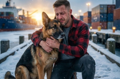 He heard scratching inside a steel container at the frozen harbor. 20 below zero. He almost kept walking. When he pried it open — a German Shepherd stared back at him. Then he saw the scar on the dog’s shoulder. The one he’d stitched himself. In a war zone. Two years ago.