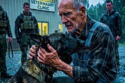 4 SEALs Couldn’t Hold the Combat K9 — Then the Old Farmer Stepped Forward and Said, “Enough, Ghost”