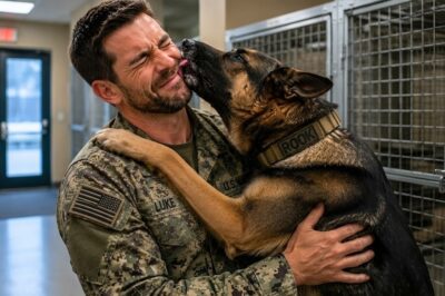 A retired military K9 chooses the wrong Navy SEAL—but the shocking reason behind his decision leaves everyone completely stunned