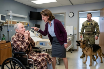 A Navy SEAL stopped at a care facility to visit his father. His K9 froze at a locked door nobody mentioned during the tour. Then he noticed his dad’s wrist — bruises, finger-shaped, fresh. His father said bed rail without meeting his eyes. The dog already knew a mile away.
