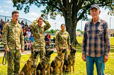 Old Veteran Was Just Watching the K9 Demonstration — Until Every Dog in the Unit Turned and Sat Down