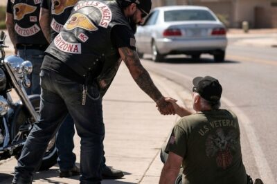 He Said “They Stole My Wheelchair” to a Biker—What Happened After 40 Hells Angels Arrived Changed Everything